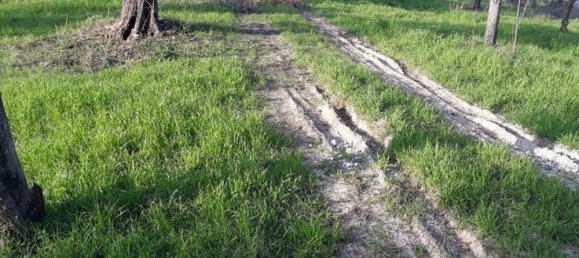 Terrain à Sant'Angelo Romano, Italy No. 203451 2