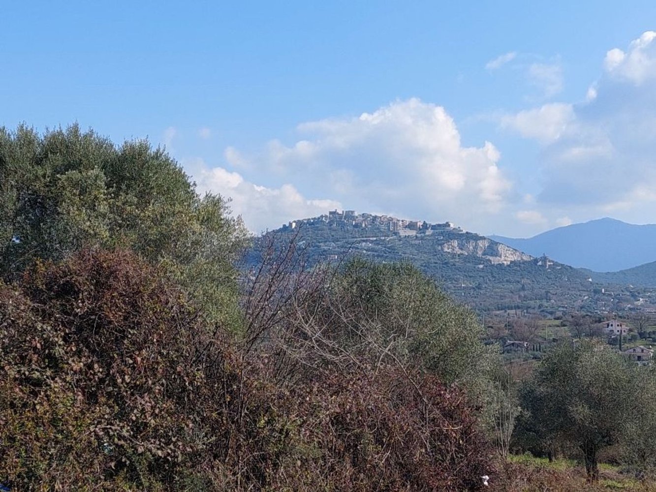 Terrain à Sant'Angelo Romano, Italy No. 203451