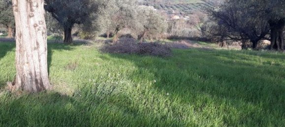 Terrain à Sant'Angelo Romano, Italy No. 203451 4