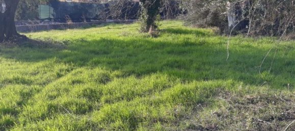 Terrain à Sant'Angelo Romano, Italy No. 203451 7