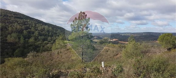 18300m² Land in Loule, Portugal No. 39324 3