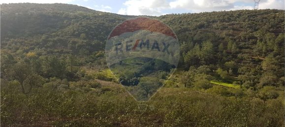 18300m² Land in Loule, Portugal No. 39324 4