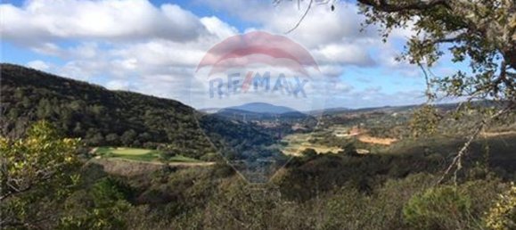 18300m² Land in Loule, Portugal No. 39324 2