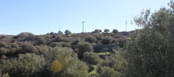 Отель, гостиница 5300м² в Айос-Николаос, Греция № 5328 3