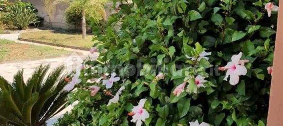 3 Schlafzimmer Wohnung in Syracuse, Italy, Nr. 250566 2