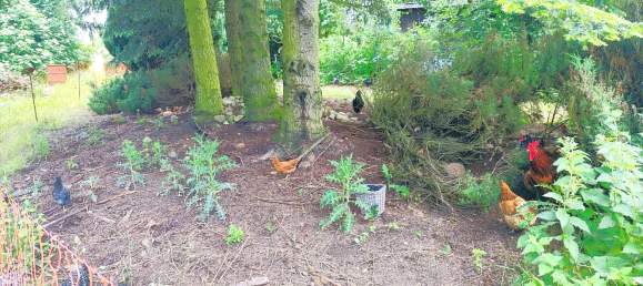 7غرفة منزل في Uckermark, Germany رقم 313531 17