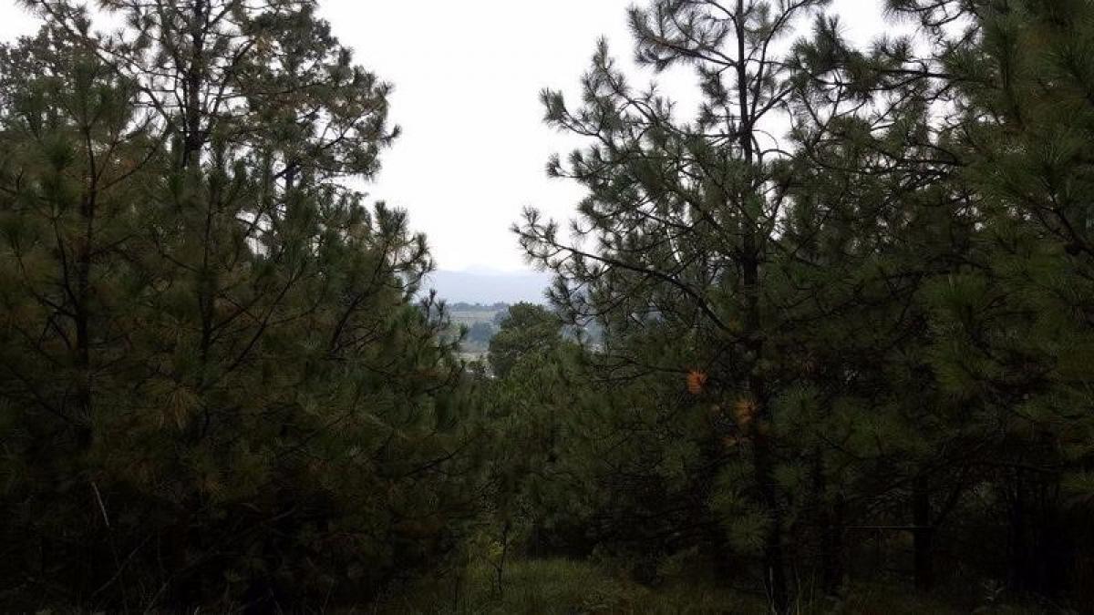  قطعة أرض في Lerma, Mexico رقم 206937