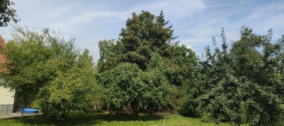 Земельный участок в Диллинген ан дер Донау, Германия № 237946 5