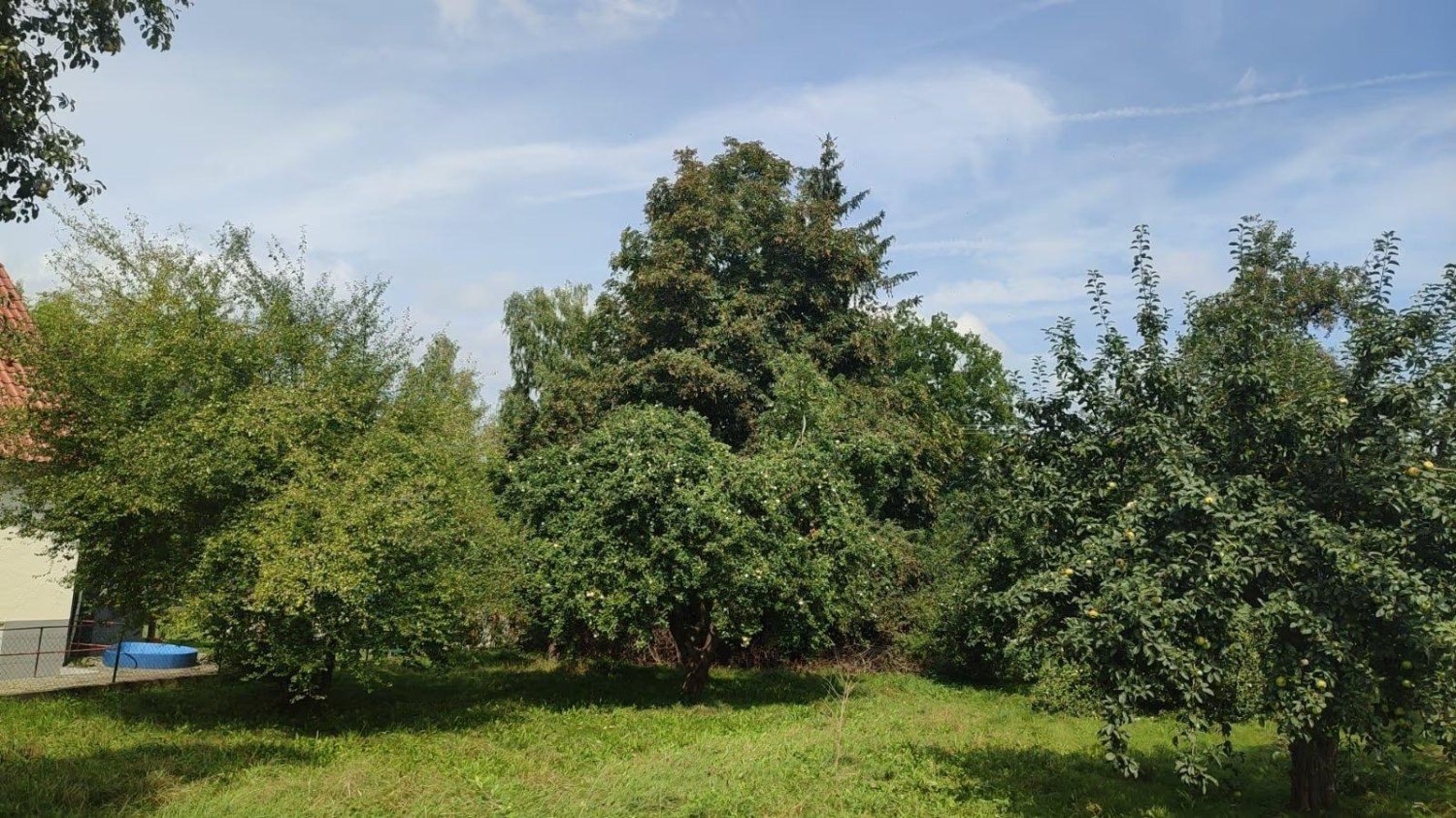 Земельный участок в Диллинген ан дер Донау, Германия № 237946