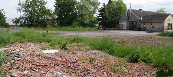 1100m² Commercial property in Wartburgkreis, Germany No. 219093 19