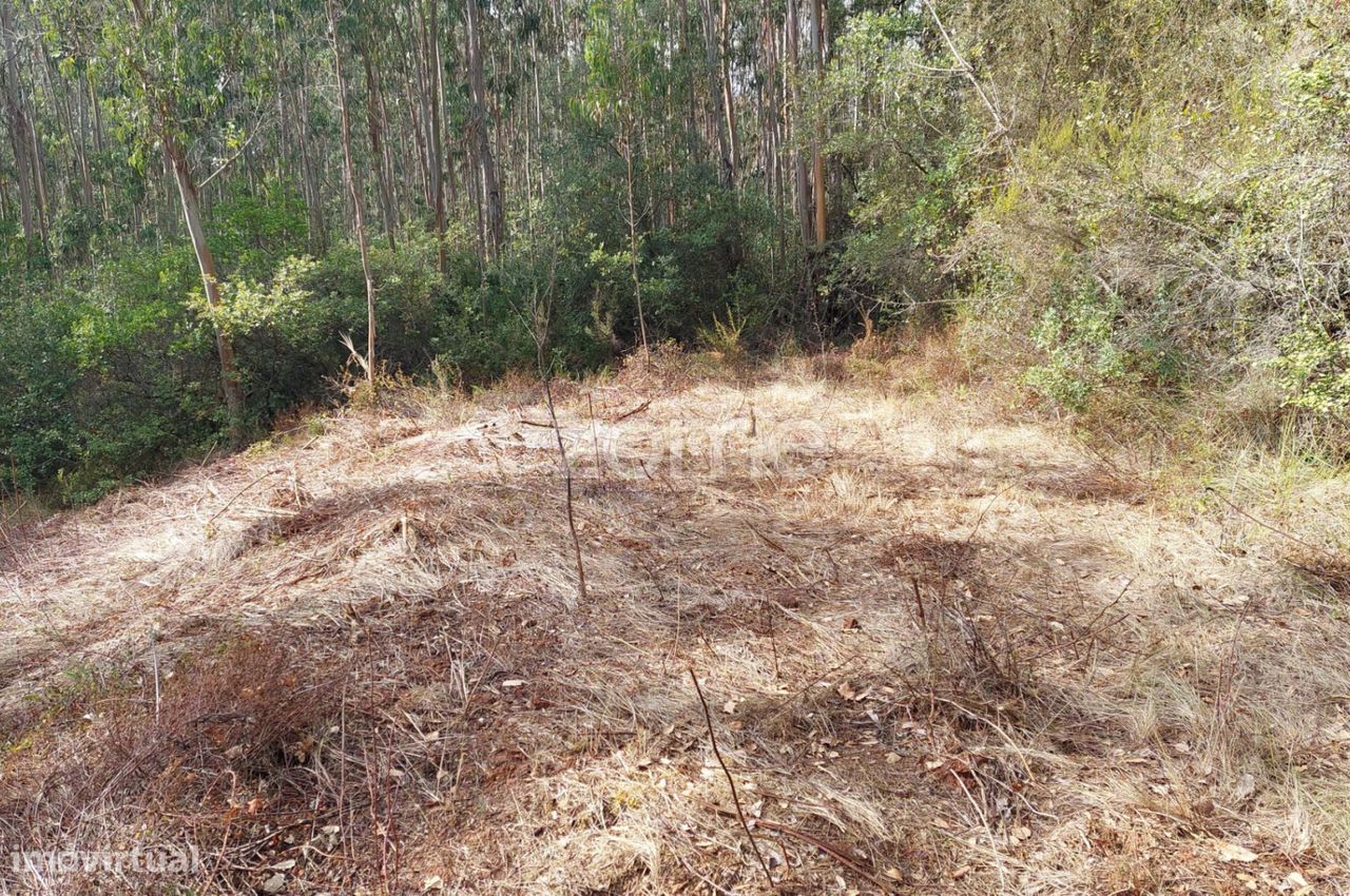 Terreno em Aljubarrota, Portugal 8633 m² N.º 67293