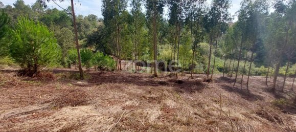 Terreno em Aljubarrota, Portugal 8633 m² N.º 67293 22