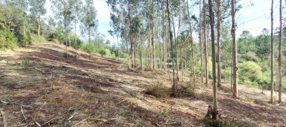 Terreno em Aljubarrota, Portugal 8633 m² N.º 67293 18