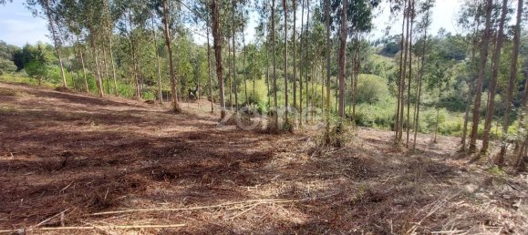 Terreno em Aljubarrota, Portugal 8633 m² N.º 67293 20