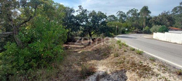 Terreno em Aljubarrota, Portugal 8633 m² N.º 67293 2