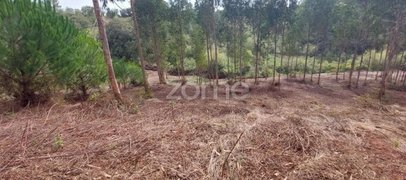 Terreno em Aljubarrota, Portugal 8633 m² N.º 67293 4