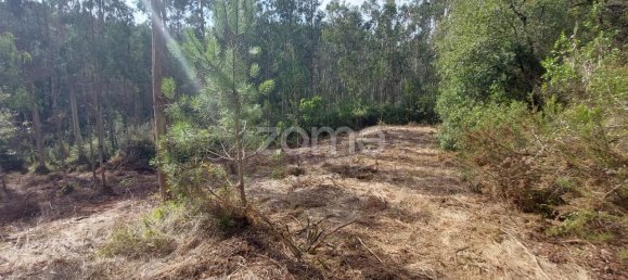 Terreno em Aljubarrota, Portugal 8633 m² N.º 67293 11