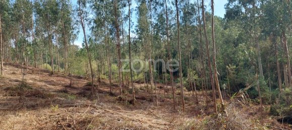 Terreno em Aljubarrota, Portugal 8633 m² N.º 67293 6