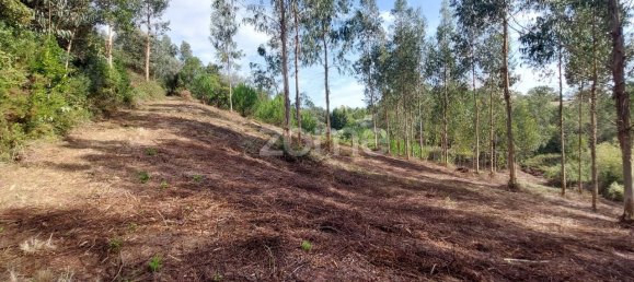 Terreno em Aljubarrota, Portugal 8633 m² N.º 67293 21