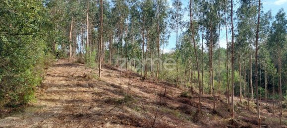 Terreno em Aljubarrota, Portugal 8633 m² N.º 67293 8