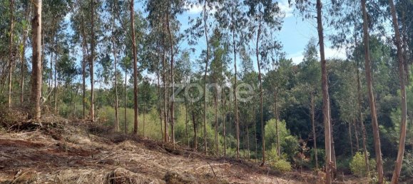 Terreno em Aljubarrota, Portugal 8633 m² N.º 67293 9