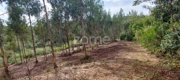 Terreno em Aljubarrota, Portugal 8633 m² N.º 67293 5