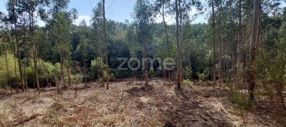 Terreno em Aljubarrota, Portugal 8633 m² N.º 67293 14