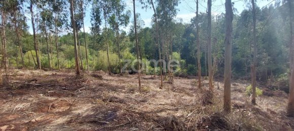 Terreno em Aljubarrota, Portugal 8633 m² N.º 67293 12