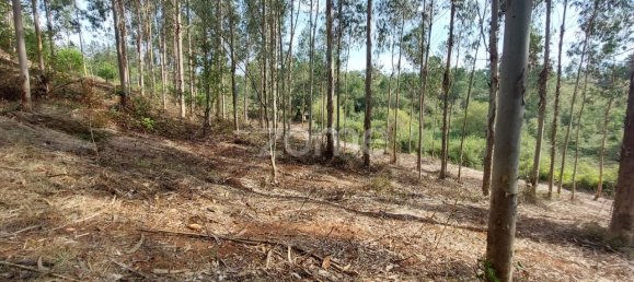 Terreno em Aljubarrota, Portugal 8633 m² N.º 67293 17