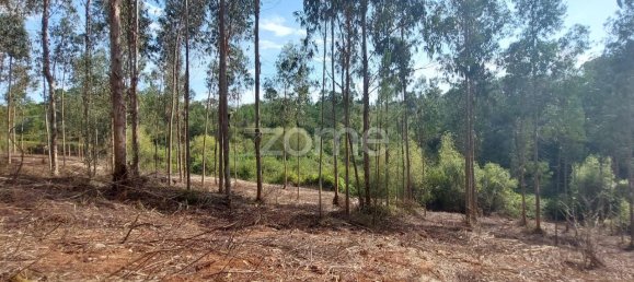 Terreno em Aljubarrota, Portugal 8633 m² N.º 67293 16