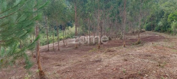 Terreno em Aljubarrota, Portugal 8633 m² N.º 67293 3