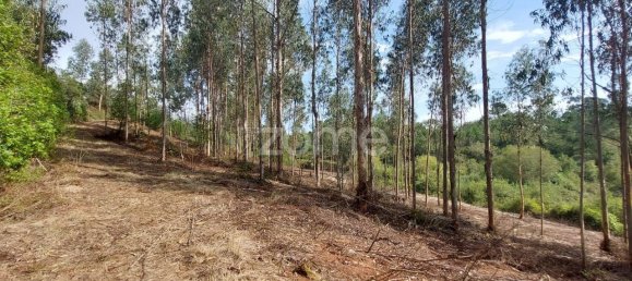 Terreno em Aljubarrota, Portugal 8633 m² N.º 67293 15