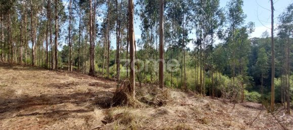 Terreno em Aljubarrota, Portugal 8633 m² N.º 67293 13