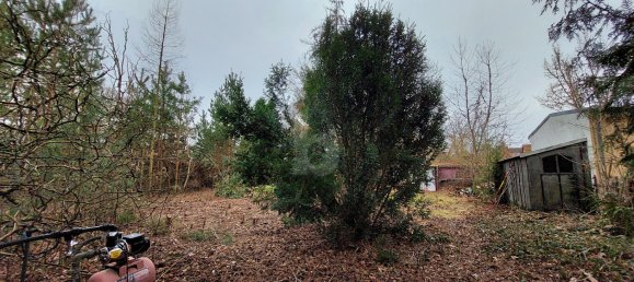 Земельный участок в Бонсдорф, Германия № 93352 3