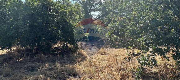 Земельный участок 1460м² в Гравина ди Катанья, Италия № 290720 8