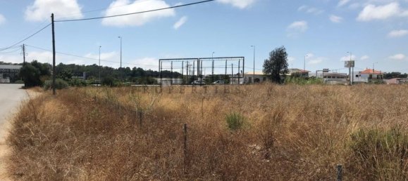 7740m² Land in Almancil, Portugal No. 145124 4