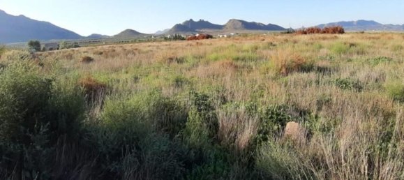 Grundstück in Jumilla, Spain, Nr. 158887 4