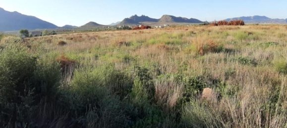 Grundstück in Jumilla, Spain, Nr. 158887 3