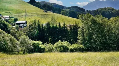  Land in Hallein, Austria No. 150706