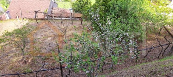 7 bedrooms House in Cristoval, Portugal No. 59141 15