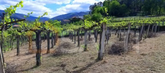 7 bedrooms House in Cristoval, Portugal No. 59141 16