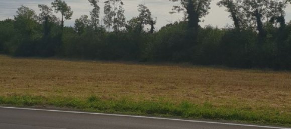 Grundstück in Pordenone, Italy 3388m², Nr. 278538 5