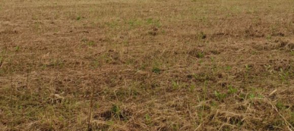 Grundstück in Pordenone, Italy 3388m², Nr. 278538 25