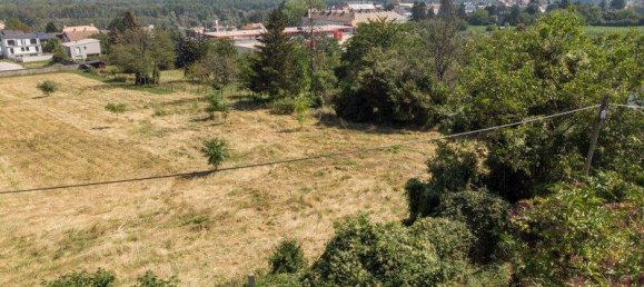 8421m² Land in Klosterneuburg, Austria No. 106777 9