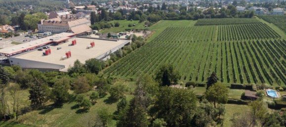 8421m² Land in Klosterneuburg, Austria No. 106777 5