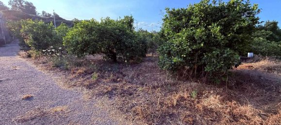  قطعة أرض في Aci Catena, Italy 6000متر مربع رقم 282798 9