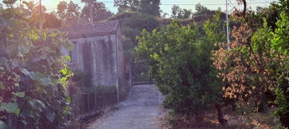  قطعة أرض في Aci Catena, Italy 6000متر مربع رقم 282798 7