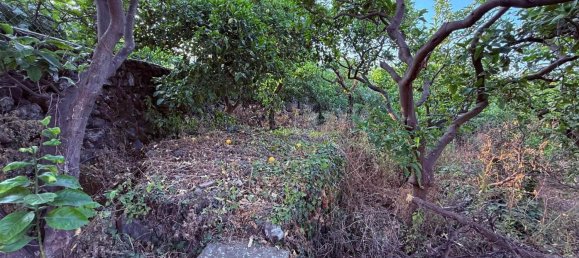  قطعة أرض في Aci Catena, Italy 6000متر مربع رقم 282798 12