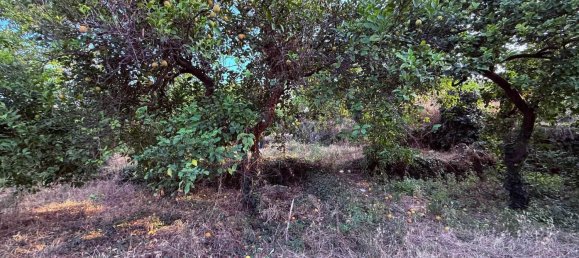  قطعة أرض في Aci Catena, Italy 6000متر مربع رقم 282798 10