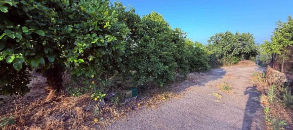  قطعة أرض في Aci Catena, Italy 6000متر مربع رقم 282798 8